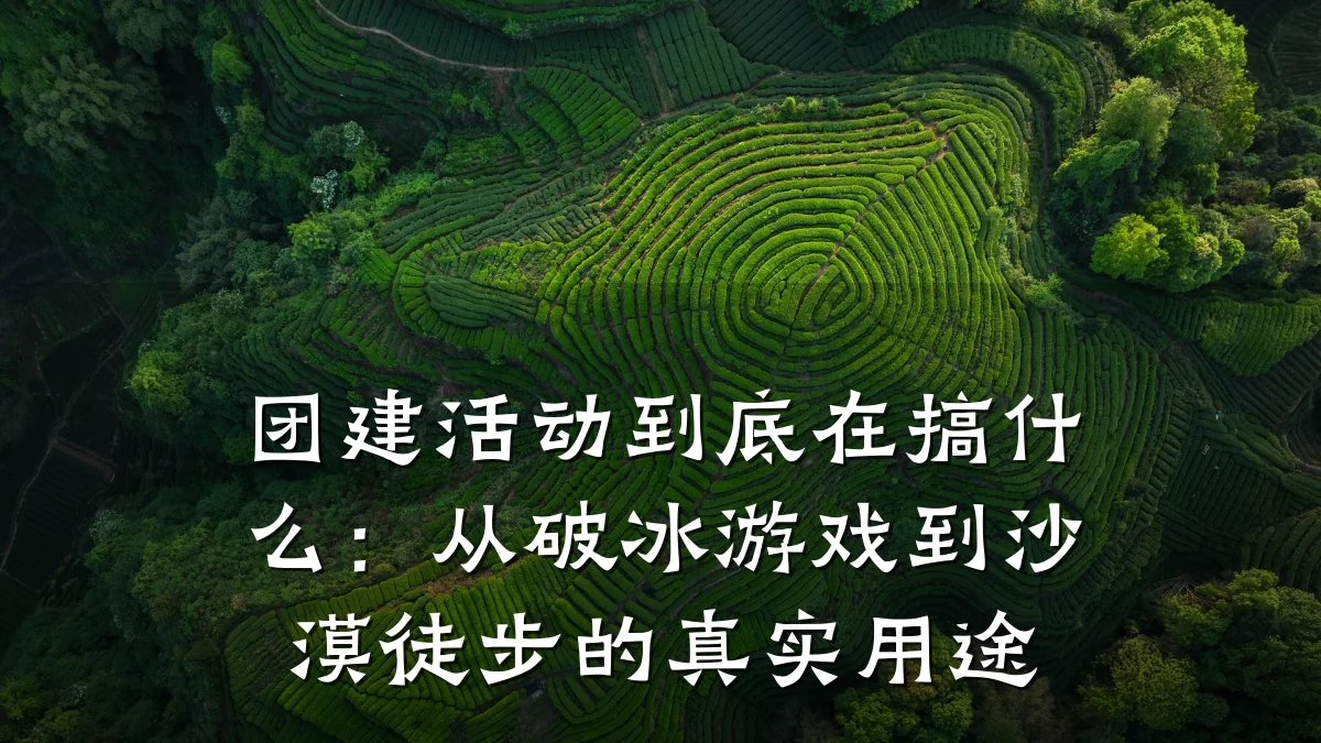 团建活动到底在搞什么:从破冰游戏到沙漠徒步的真实用途