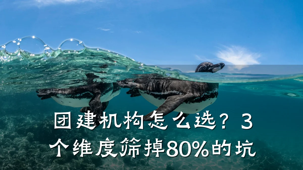 团建机构怎么选?3个维度筛掉80%的坑