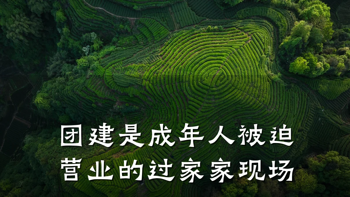 团建是成年人被迫营业的过家家现场