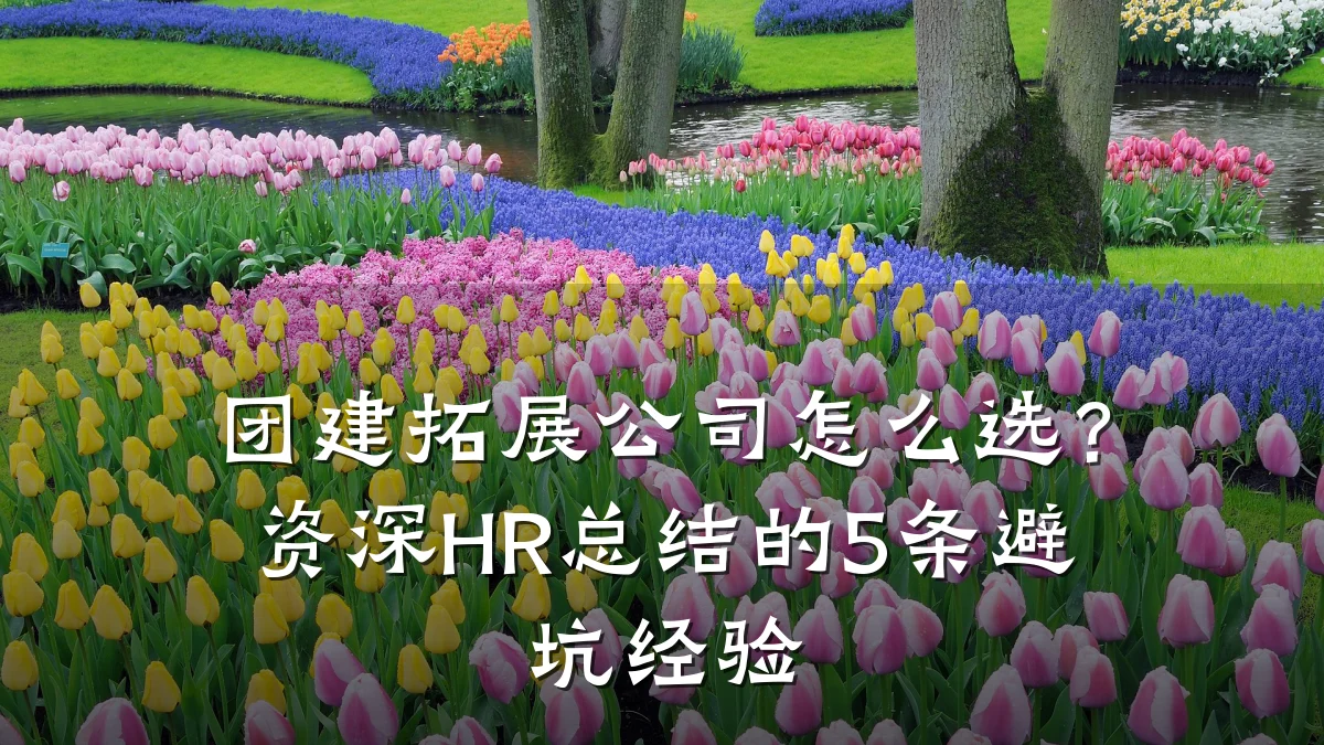 团建拓展公司怎么选?资深HR总结的5条避坑经验