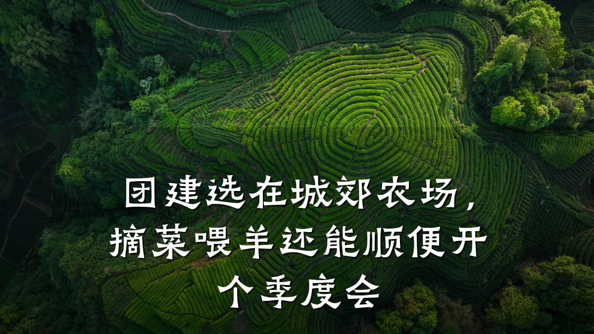 团建选在城郊农场,摘菜喂羊还能顺便开个季度会