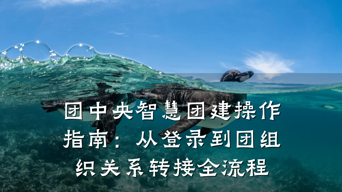 团中央智慧团建操作指南:从登录到团组织关系转接全流程