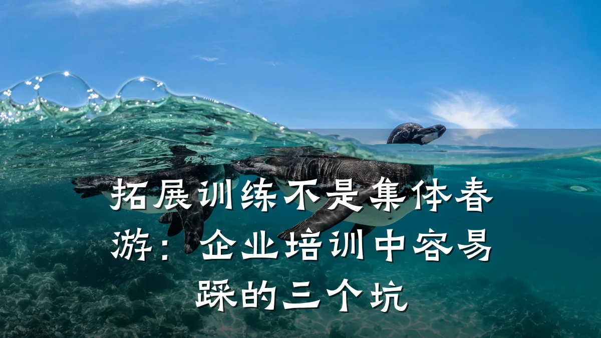拓展训练不是集体春游:企业培训中容易踩的三个坑