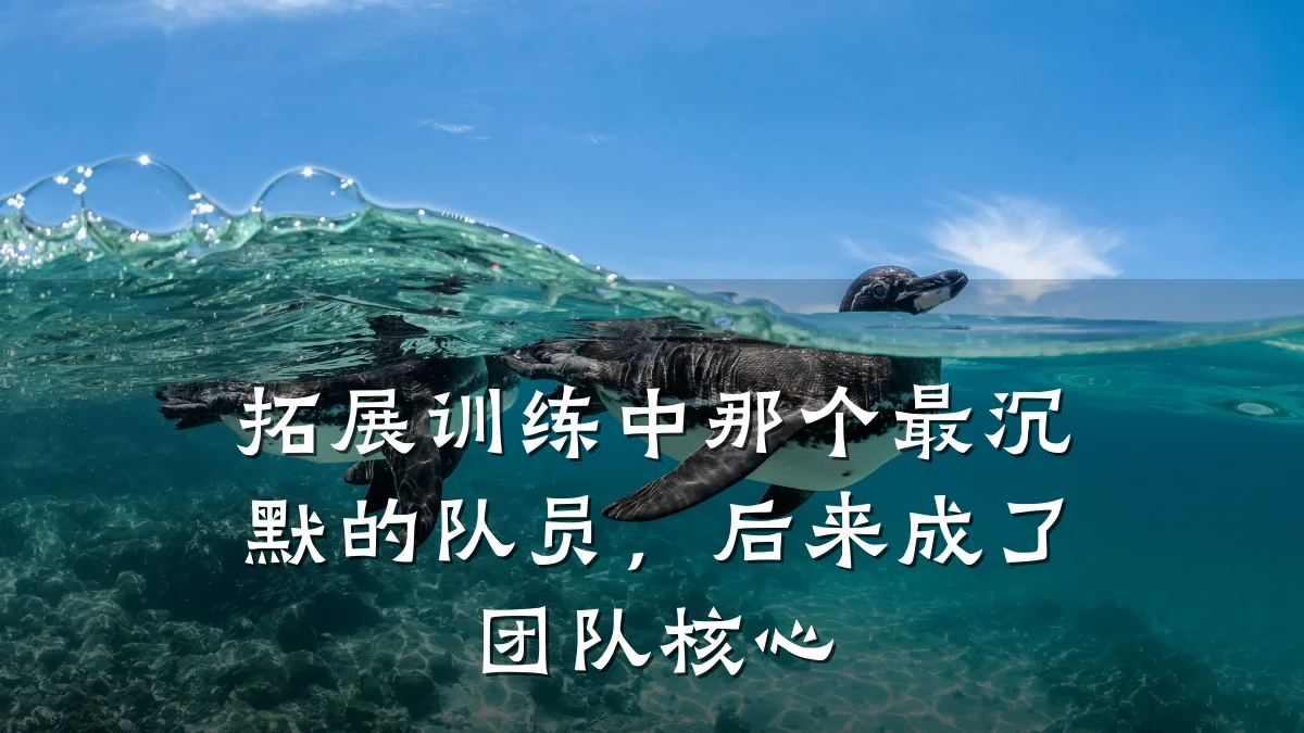 拓展训练中那个最沉默的队员,后来成了团队核心