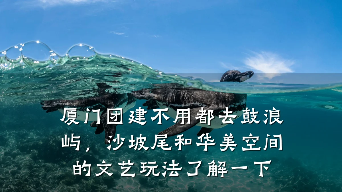 厦门团建不用都去鼓浪屿,沙坡尾和华美空间的文艺玩法了解一下