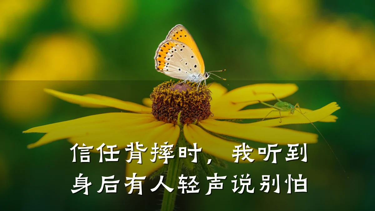 信任背摔时,我听到身后有人轻声说别怕