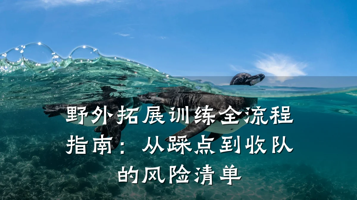 野外拓展训练全流程指南：从踩点到收队的风险清单