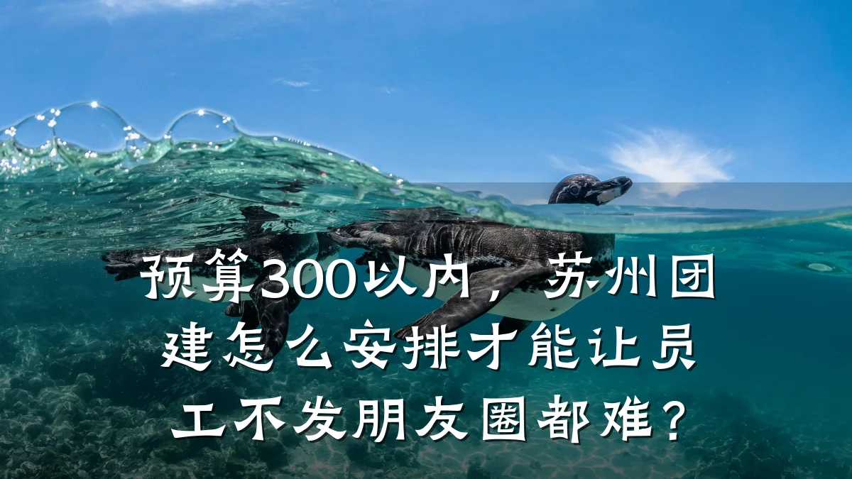 预算300以内,苏州团建怎么安排才能让员工不发朋友圈都难?