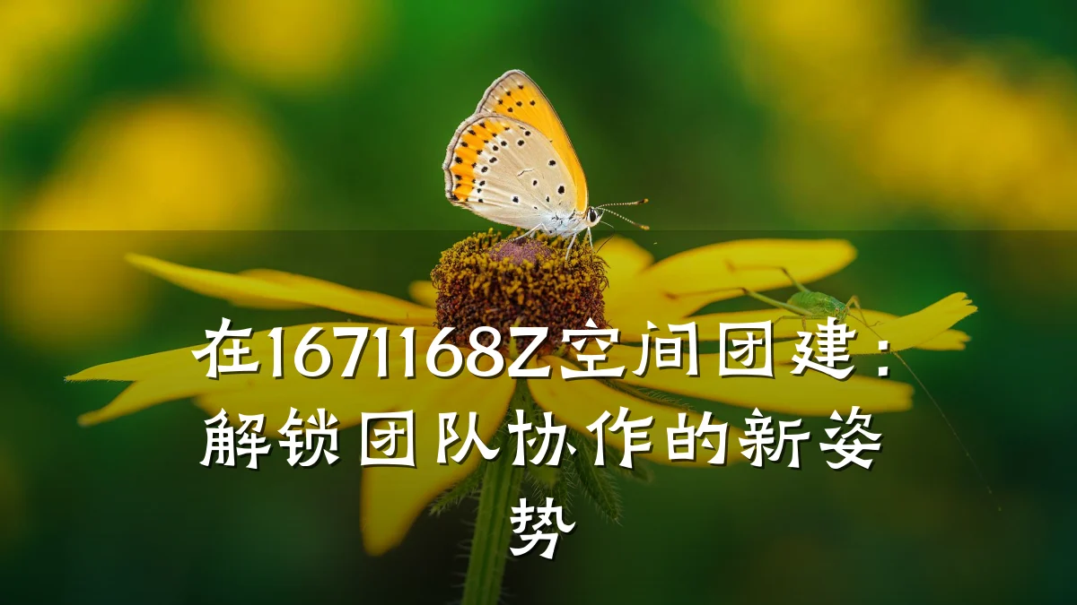 在1671168Z空间团建：解锁团队协作的新姿势