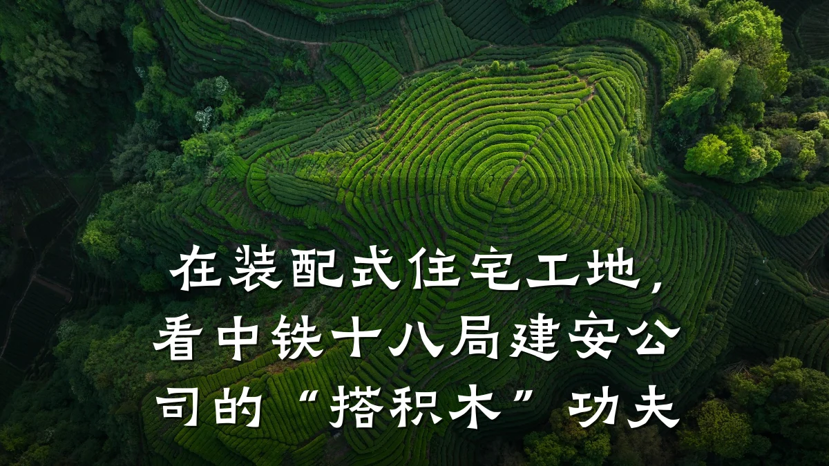在装配式住宅工地,看中铁十八局建安公司的“搭积木”功夫