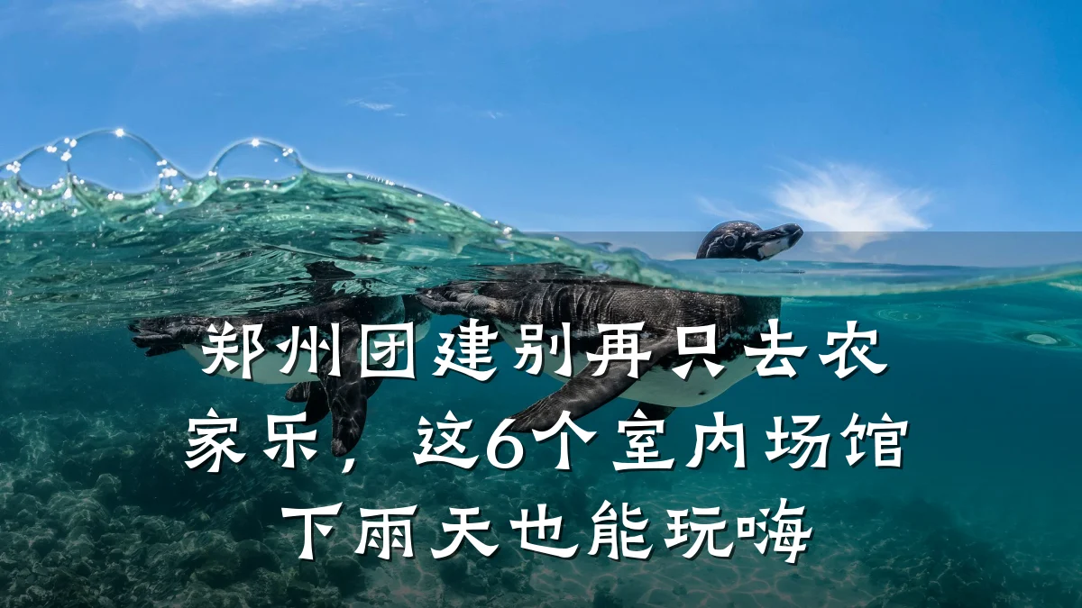 郑州团建别再只去农家乐,这6个室内场馆下雨天也能玩嗨
