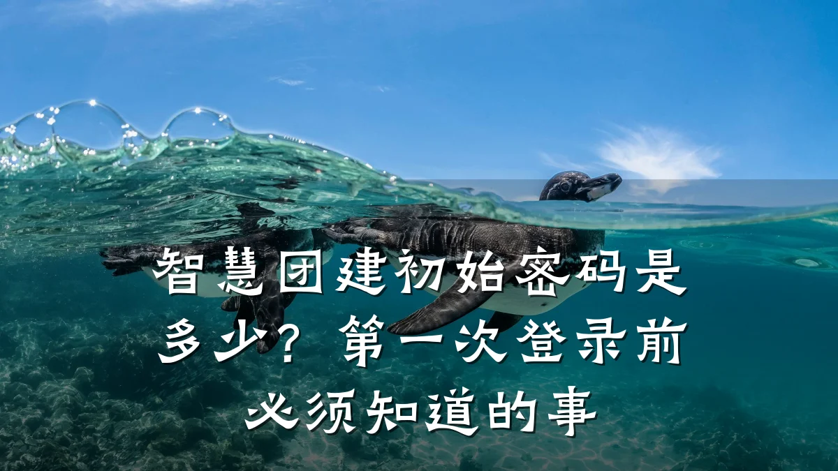 智慧团建初始密码是多少?第一次登录前必须知道的事