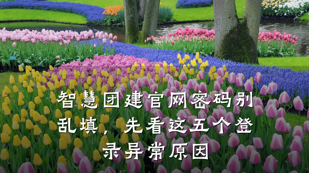 智慧团建官网密码别乱填,先看这五个登录异常原因