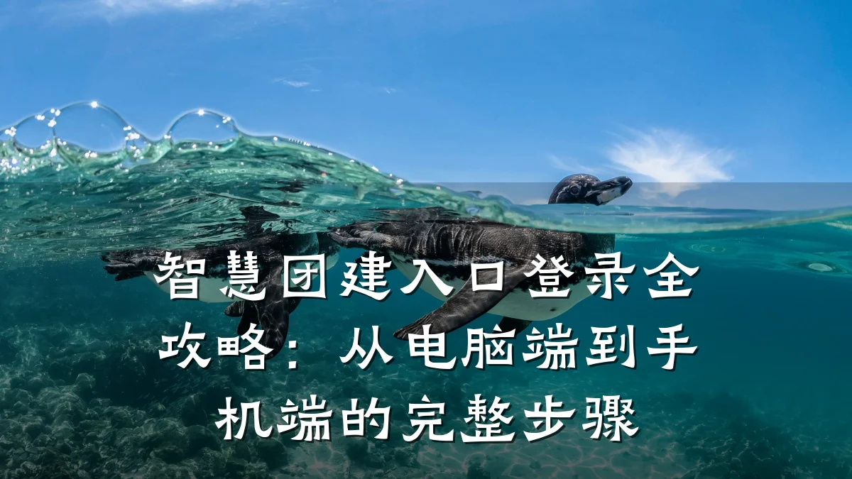 智慧团建入口登录全攻略:从电脑端到手机端的完整步骤