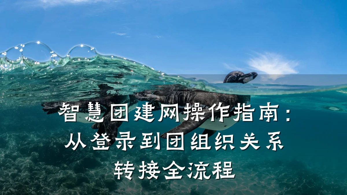 智慧团建网操作指南:从登录到团组织关系转接全流程