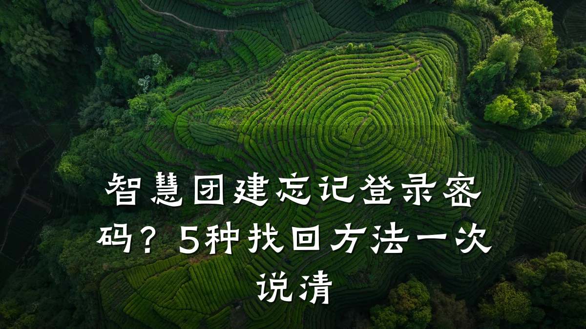 智慧团建忘记登录密码?5种找回方法一次说清