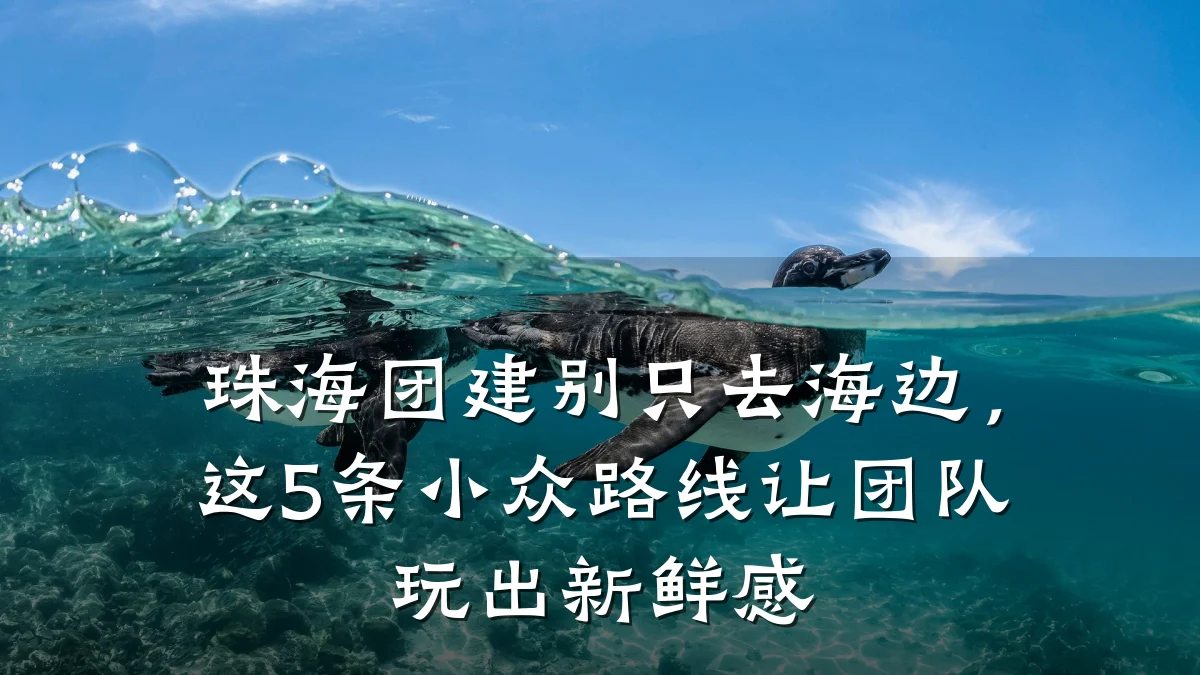 珠海团建别只去海边,这5条小众路线让团队玩出新鲜感