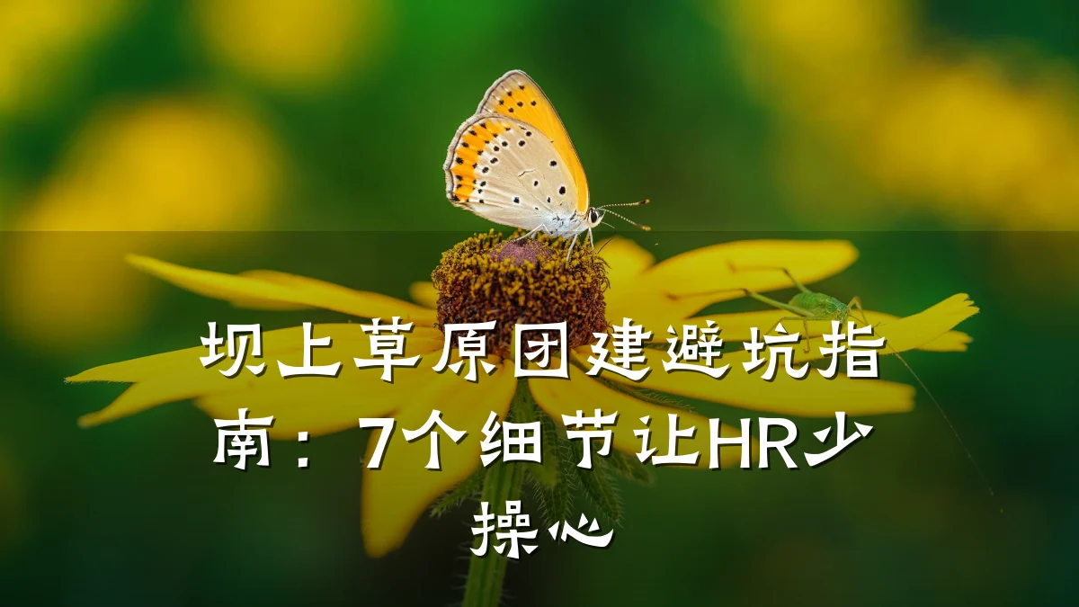坝上草原团建避坑指南:7个细节让HR少操心