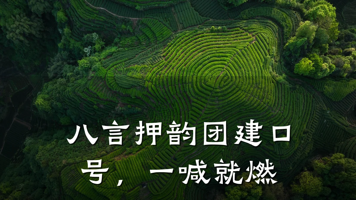 八言押韵团建口号,一喊就燃