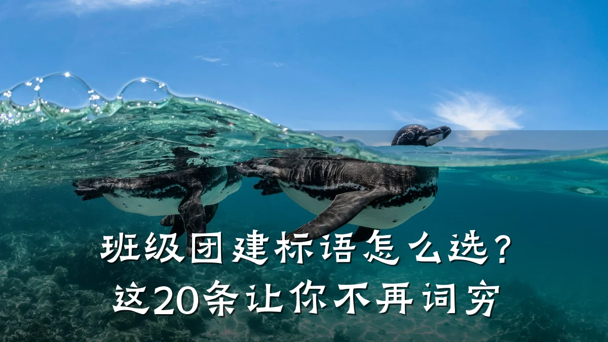 班级团建标语怎么选?这20条让你不再词穷
