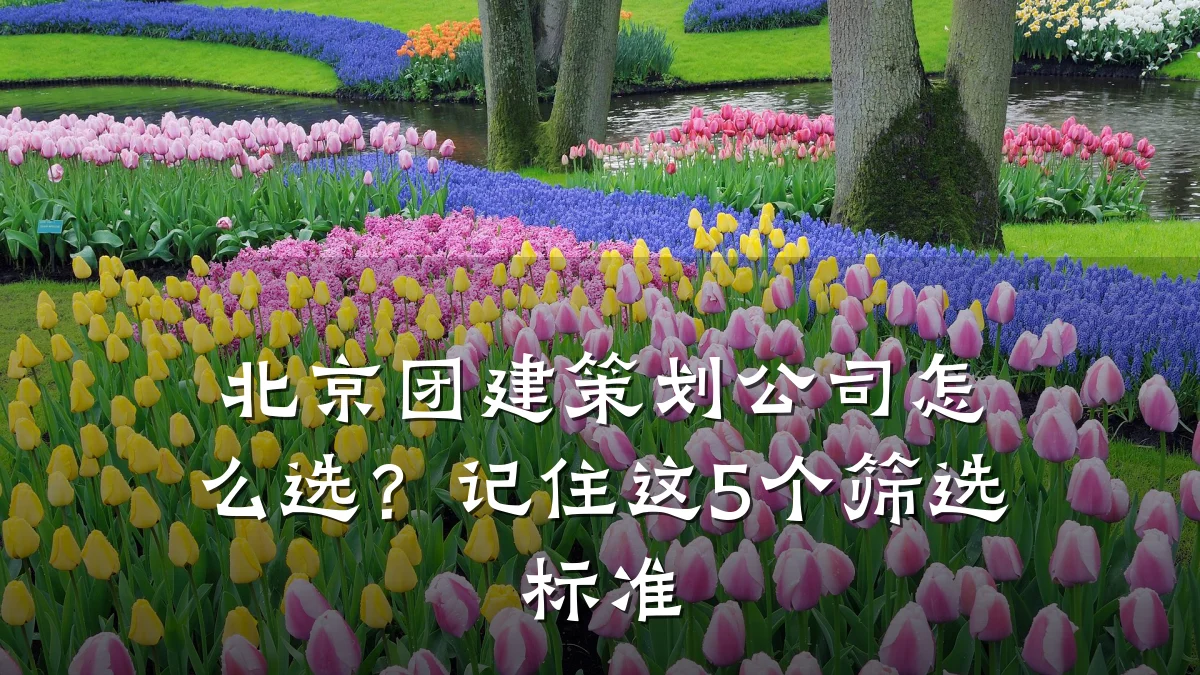 北京团建策划公司怎么选?记住这5个筛选标准