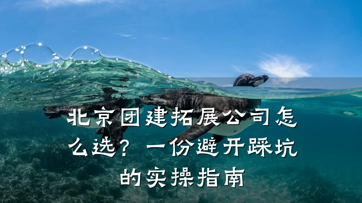 北京团建拓展公司怎么选?一份避开踩坑的实操指南