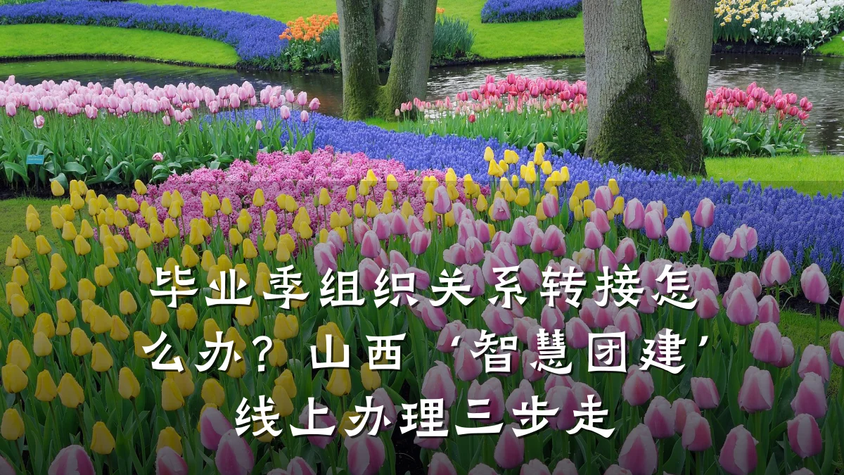 毕业季组织关系转接怎么办？山西‘智慧团建’线上办理三步走