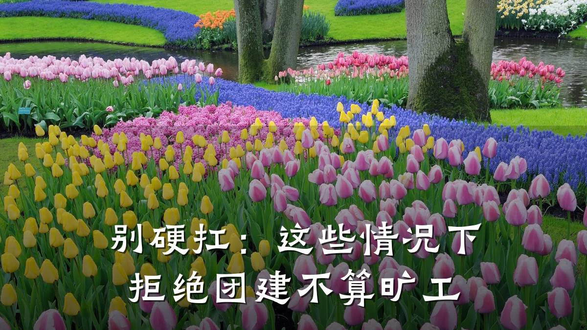别硬扛:这些情况下拒绝团建不算旷工