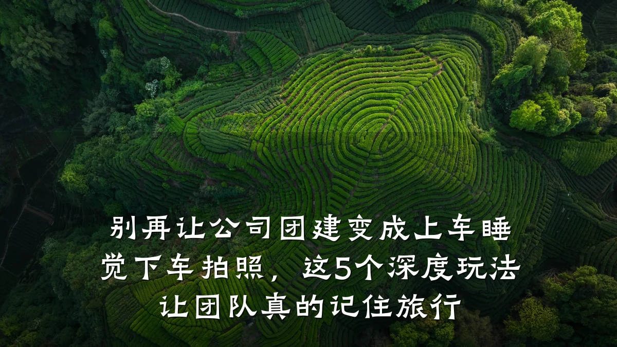 别再让公司团建变成上车睡觉下车拍照,这5个深度玩法让团队真的记住旅行