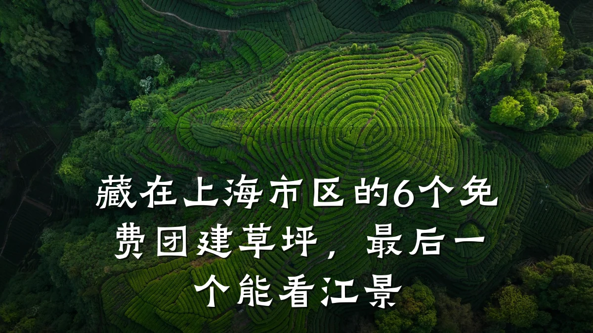藏在上海市区的6个免费团建草坪,最后一个能看江景
