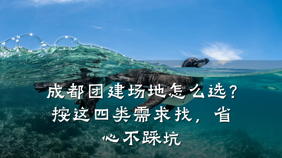 成都团建场地怎么选?按这四类需求找,省心不踩坑