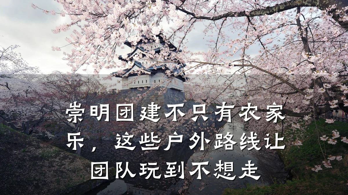 崇明团建不只有农家乐,这些户外路线让团队玩到不想走