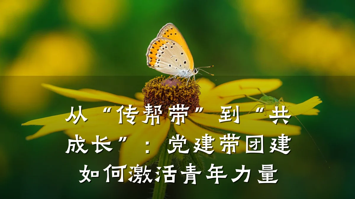 从“传帮带”到“共成长”:党建带团建如何激活青年力量