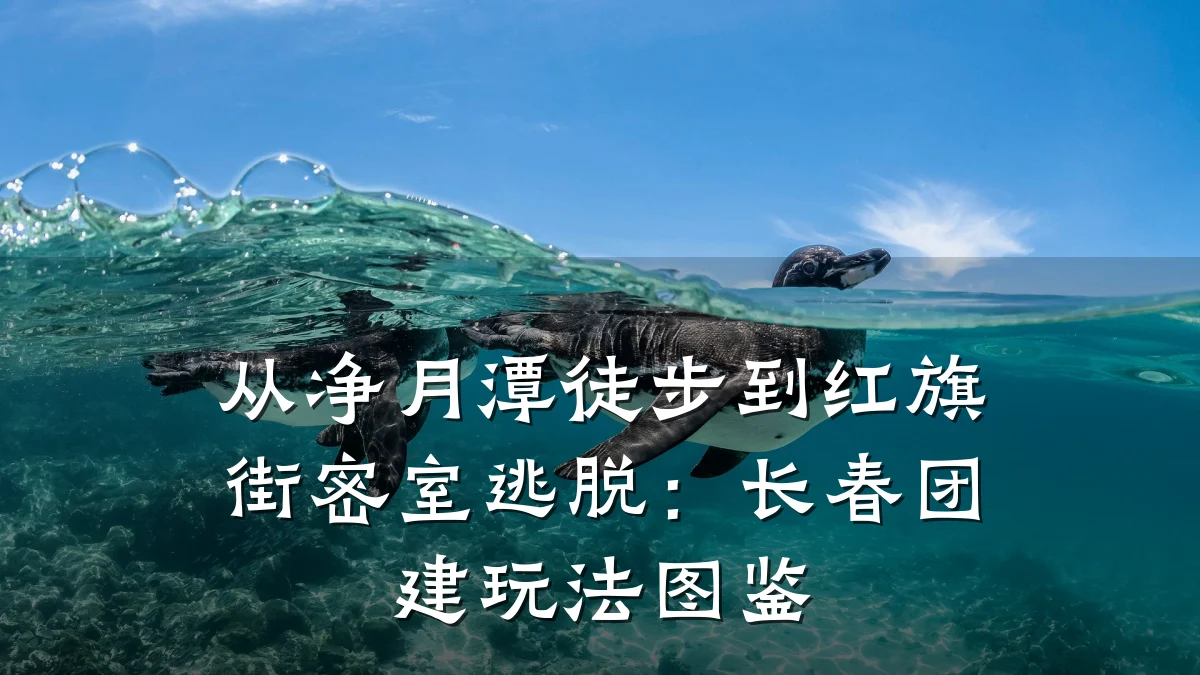 从净月潭徒步到红旗街密室逃脱:长春团建玩法图鉴