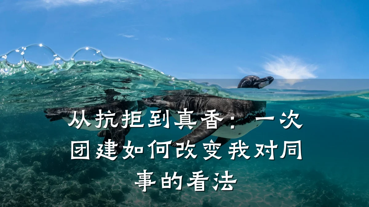 从抗拒到真香:一次团建如何改变我对同事的看法