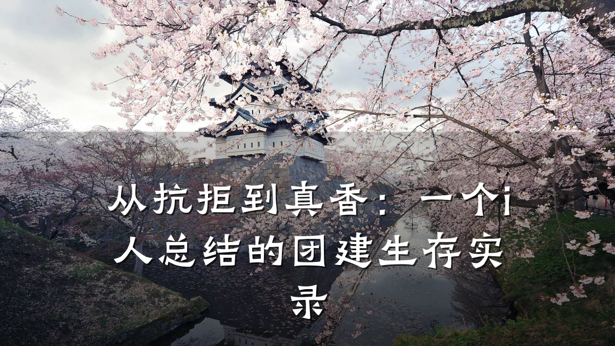 从抗拒到真香:一个i人总结的团建生存实录