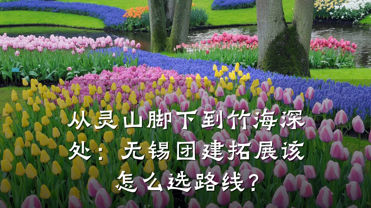 从灵山脚下到竹海深处:无锡团建拓展该怎么选路线?