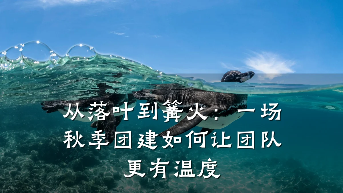 从落叶到篝火：一场秋季团建如何让团队更有温度