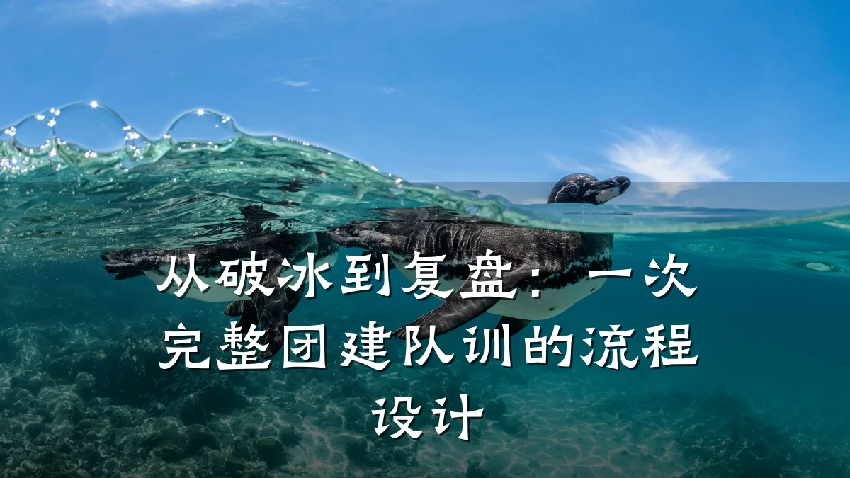 从破冰到复盘:一次完整团建队训的流程设计