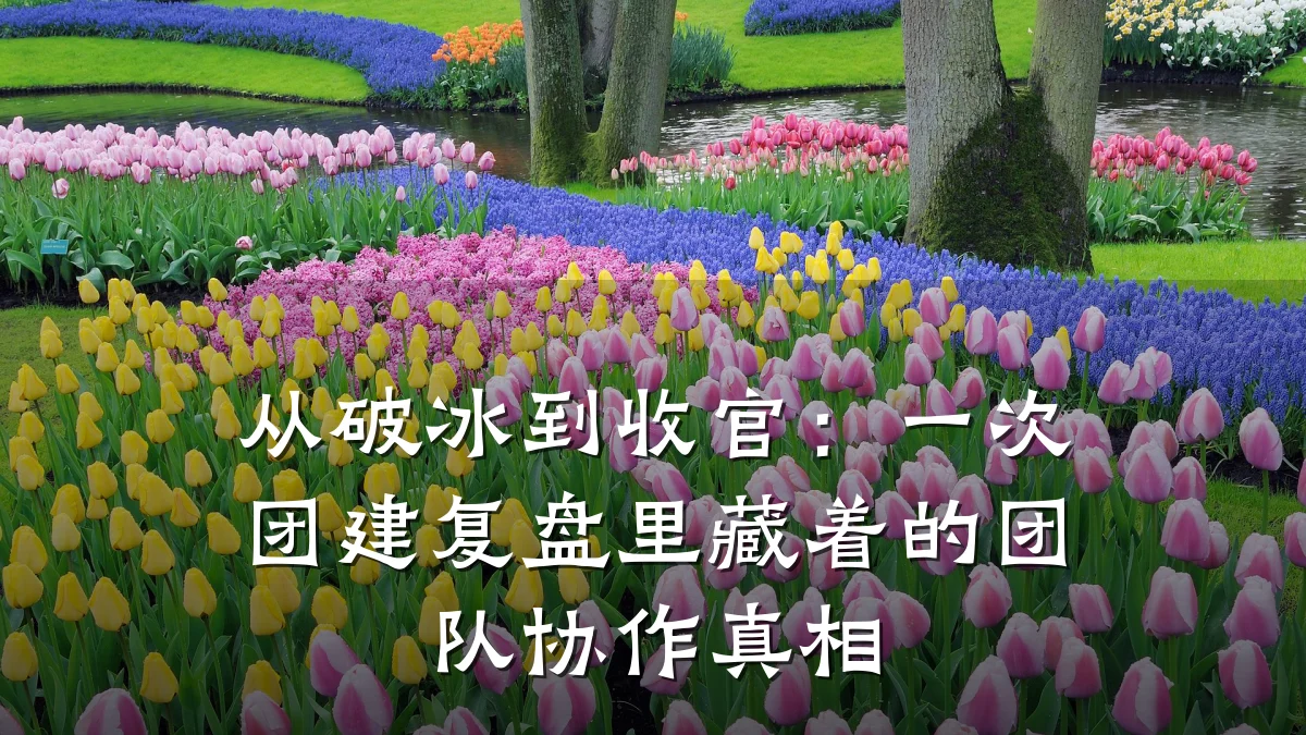 从破冰到收官：一次团建复盘里藏着的团队协作真相