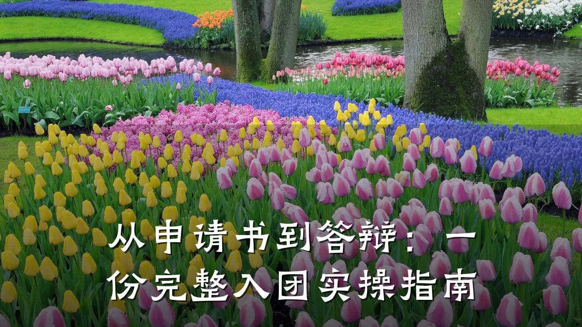 从申请书到答辩:一份完整入团实操指南