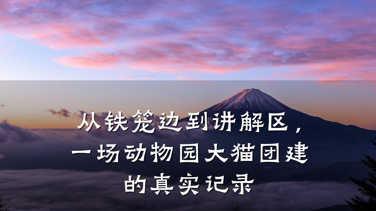从铁笼边到讲解区,一场动物园大猫团建的真实记录