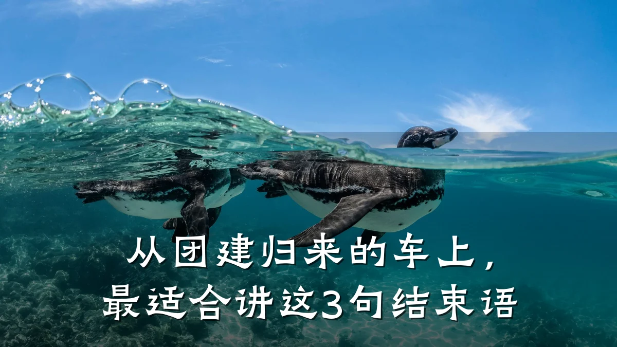 从团建归来的车上,最适合讲这3句结束语