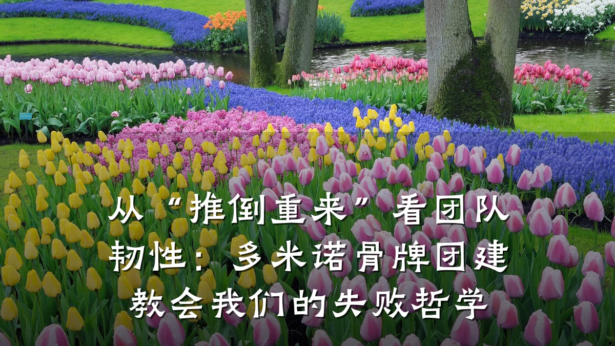 从“推倒重来”看团队韧性:多米诺骨牌团建教会我们的失败哲学