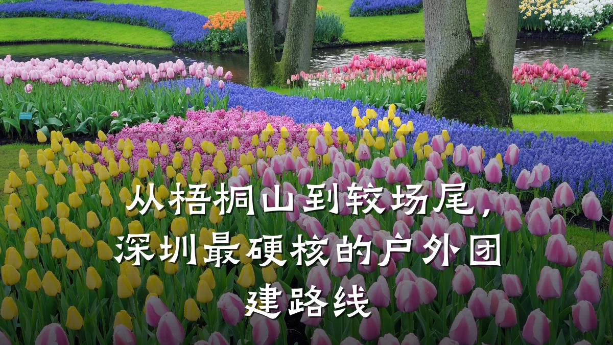从梧桐山到较场尾,深圳最硬核的户外团建路线