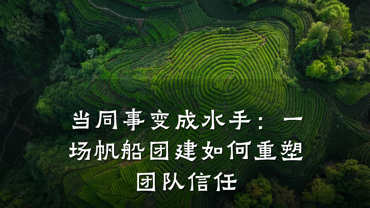 当同事变成水手:一场帆船团建如何重塑团队信任