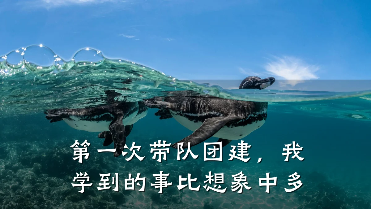 第一次带队团建，我学到的事比想象中多