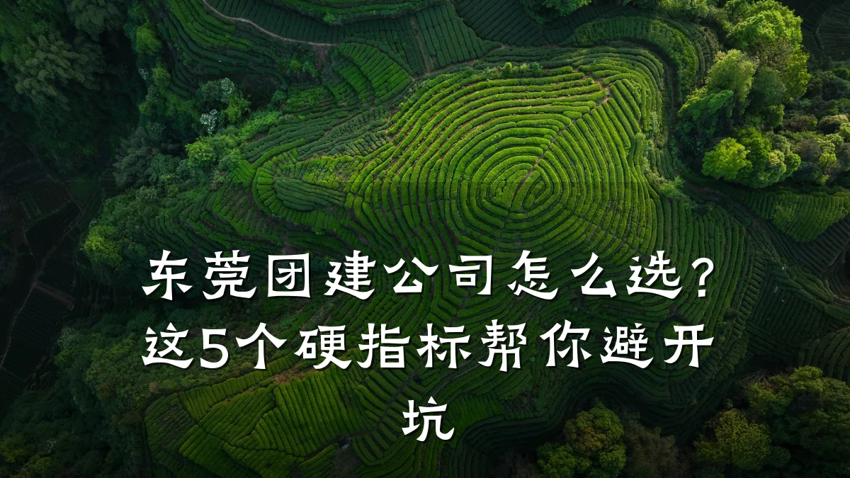 东莞团建公司怎么选？这5个硬指标帮你避开坑