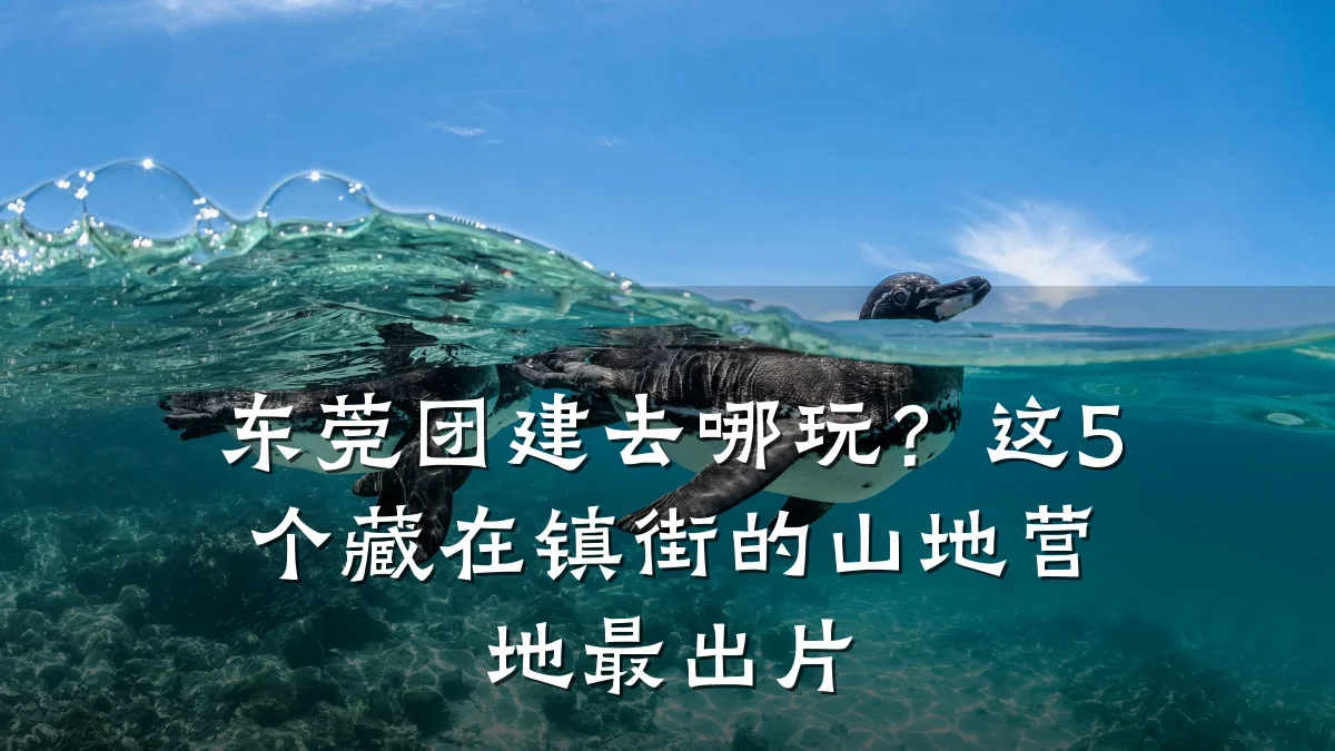 东莞团建去哪玩?这5个藏在镇街的山地营地最出片