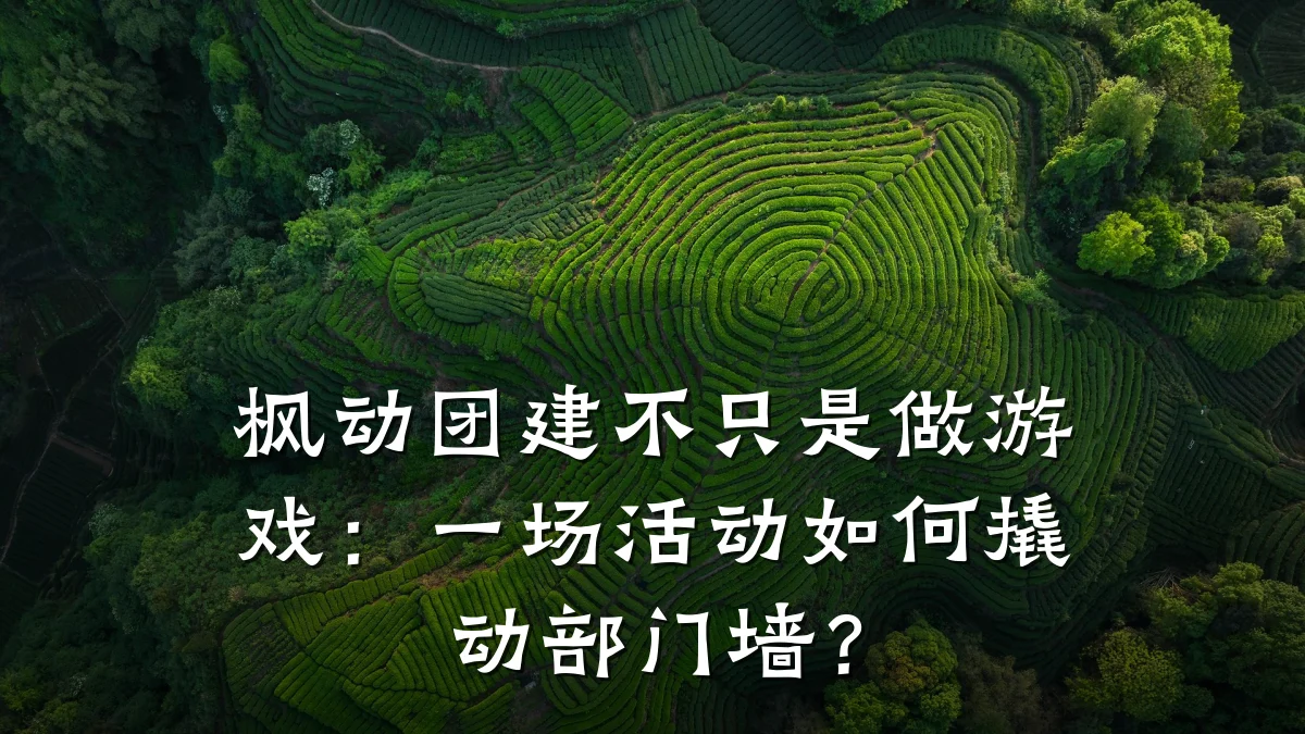 枫动团建不只是做游戏:一场活动如何撬动部门墙?